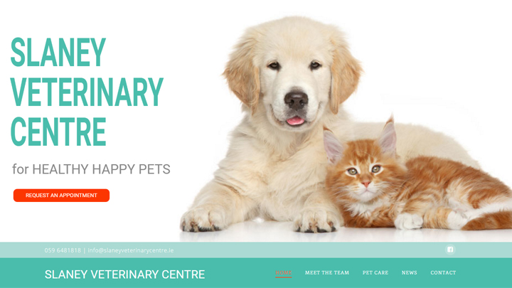 slaney-veterinary
